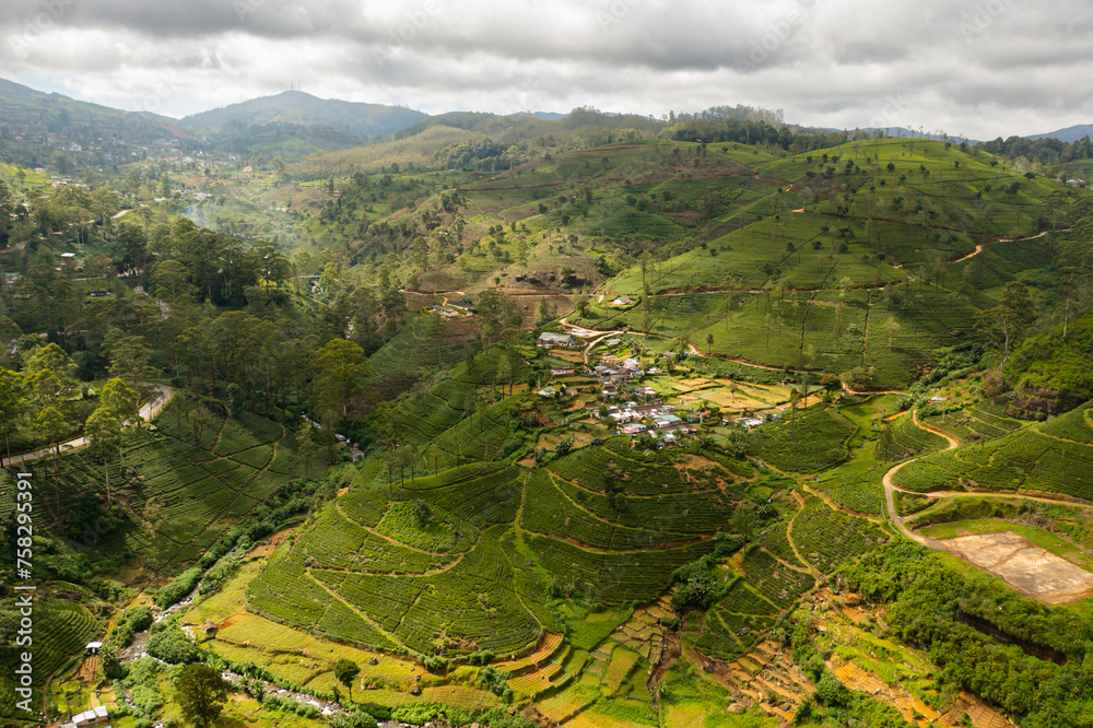 Aerial view of Green tea plantations in a mountainous province. Tea estate landscape. Nuwara Eliya, Sri Lanka.