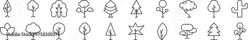 Images of deciduous and conifers drawn with thin Line. Editable stroke. Simple linear illustration for stores, shops, banners, design