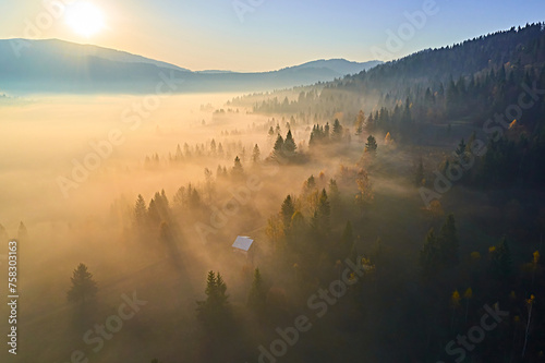 Autumn countryside landscape. A small house stands among the trees in the fog