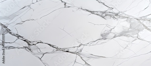 A closeup of a monochrome white marble texture on a freezing winter slope, resembling a snowdusted landscape pattern