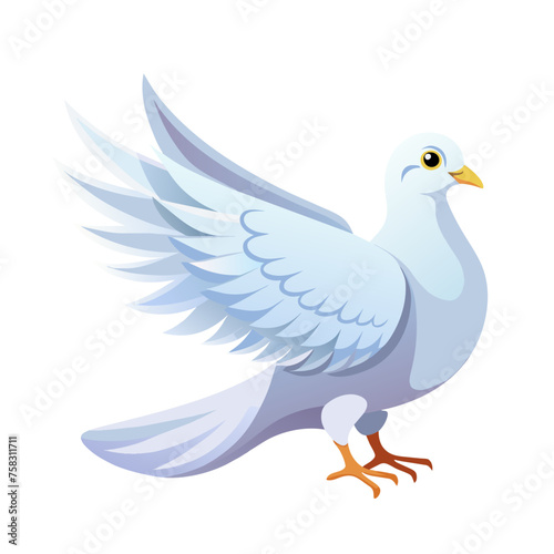 White pigeon dove on white background © Oleksiy