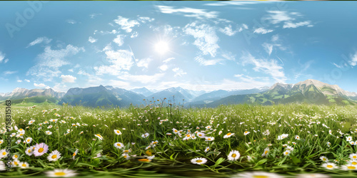 Chamomile field panorama. White daisy flowers in large field of lush green grass at sunset. 360 seamless spherical panorama. Chamomile flowers field. Nature, flowers, spring, biology, fauna concept