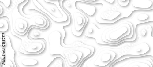 3d render, abstract white paper background. Paper cut vector art background banner texture. multi layer cutout geometric pattern on vector, Abstract soft white background with waves. 