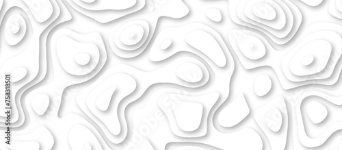 3d render, abstract white paper background. Paper cut vector art background banner texture. multi layer cutout geometric pattern on vector, Abstract soft white background with waves. 