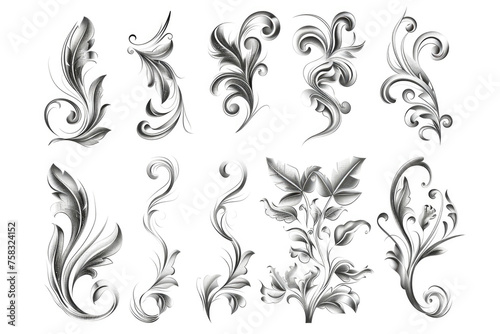 Beautiful floral designs on a clean white background, perfect for various design projects