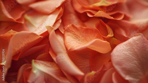 A close-up view of a bunch of petals. Suitable for various design projects