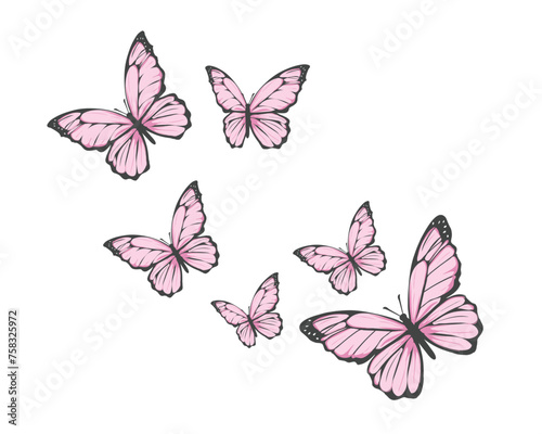 pink butterfly hand drawn design