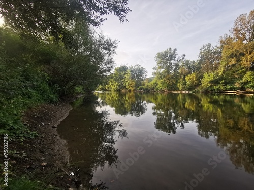 reflection in the water, silhouettes of trees reflecting in the calm water of the river. - South Morava river - Serbia