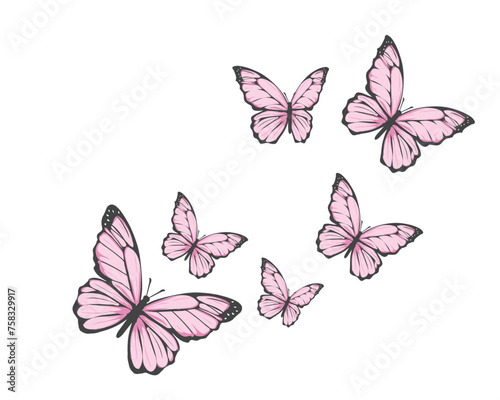 pink butterfly fly desg vector 