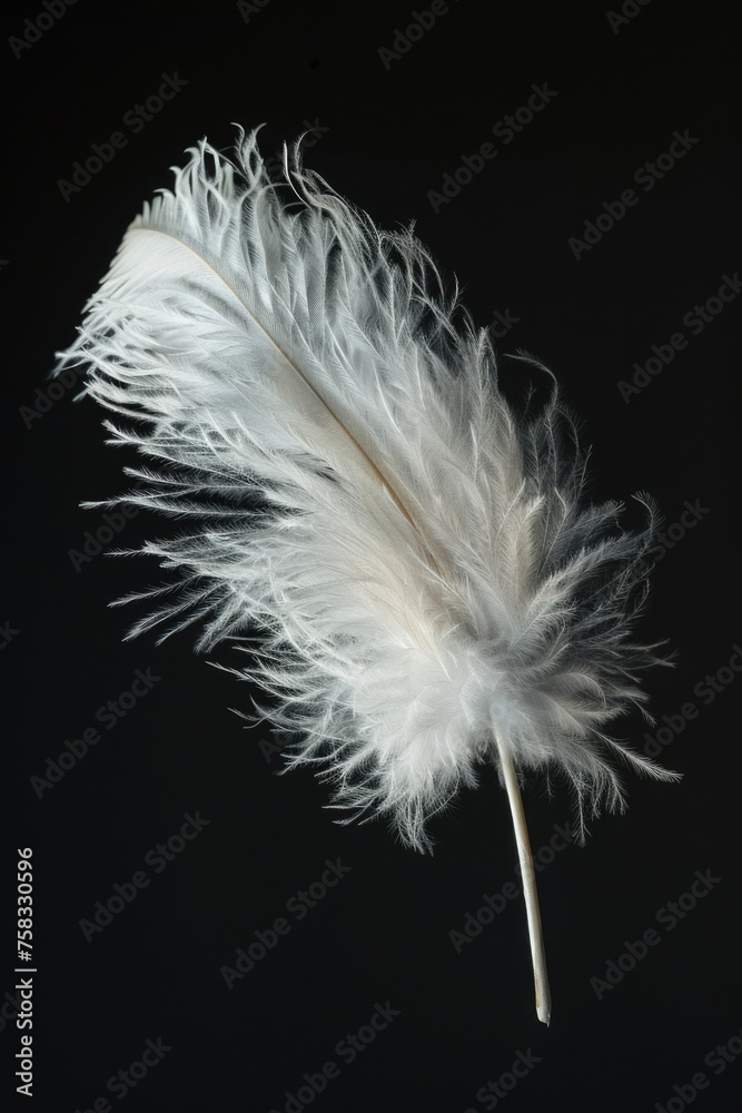 Simple white feather on dark black background. Suitable for minimalist designs