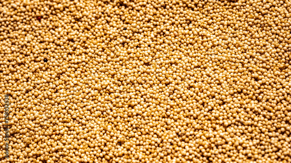 seeds texture seeds texture