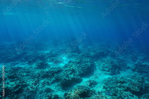 Ocean floor natural underwater background in the south Pacific ocean, Rurutu, Austral Islands, French Polynesia