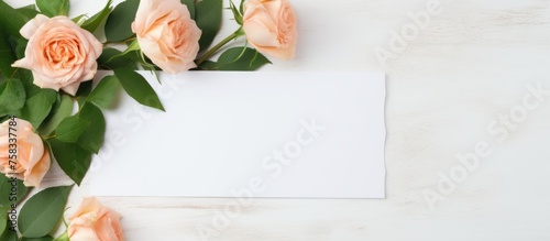 A beautiful white card featuring pink roses and green leaves, placed on a white wooden table. The hybrid tea rose petals make a stunning addition to any flower arranging recipe or dish
