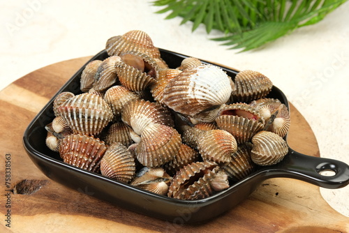 Photography Kerang dara or kerang darah (Anadara granosa)
