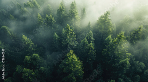 A captivating aerial view of a foggy forest. Ideal for nature and landscape themes © Fotograf