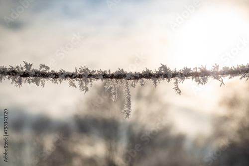 snow covered rope. Detail of frozen wire. snow crystals in sunny backlight with blurry background. Winter mood.