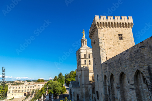 Cathedral and Papal palace in Avignon © Sergii Figurnyi
