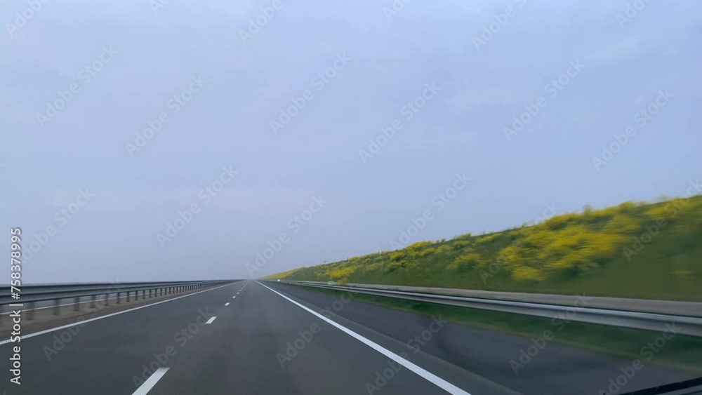 driving across the Afsluitdijk, a long dike in The Netherlands, Holland between sea and lake. Tarmac with green dike and rapeseed flowers driving across the Afsluitdijk, a long dike in The Netherlands, Holland between sea and lake. Tarmac with green dike and rapeseed flowers