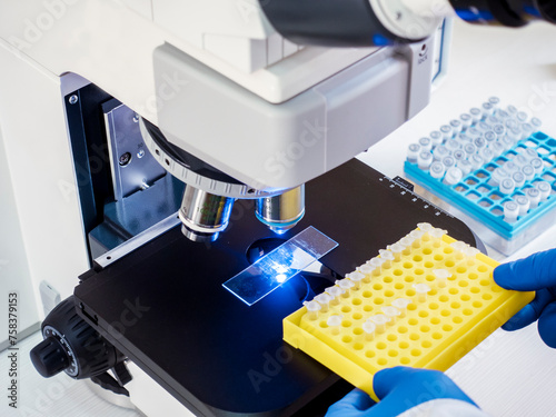 Studying genetically modified bacteria on a glass slide under a microscope, a laboratory assistant holds a tablet with PCR tubes in his hand.