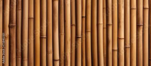 a close up of a wooden fence made of bamboo sticks . High quality