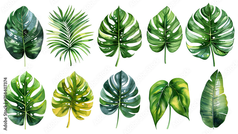 set of green leaves set of green leaves