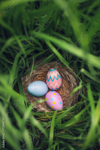 Nest of colorful Easter Eggs hidden tall grass found during Easter Egg hunt search. © Leigh Prather