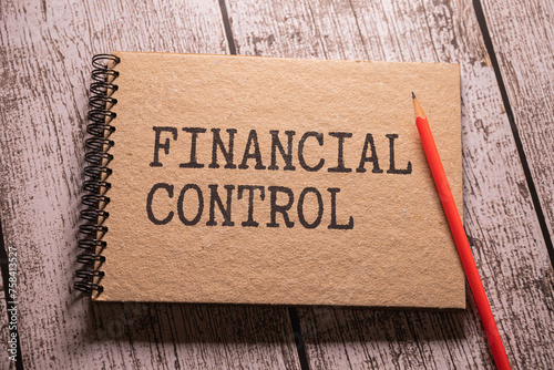 financial control text