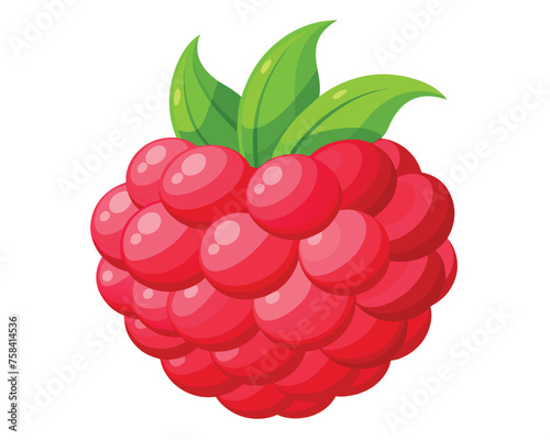 Red testy Raspberry vector illustration