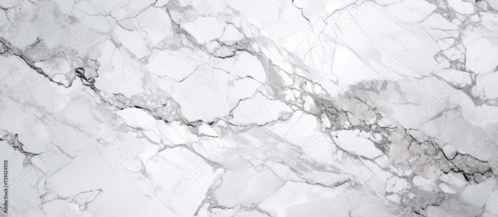 A detailed closeup of a white marble texture resembling a freezing water pattern, with liquidlike slopes and snowy landscapes, rocks, twigs, and events A detailed closeup of a white marble texture resembling a freezing water pattern, with liquidlike slopes and snowy landscapes, rocks, twigs, and events