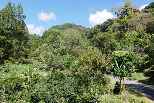 Berglandschaft mit Kaffeeplantage Berge in Panama bei Boquete