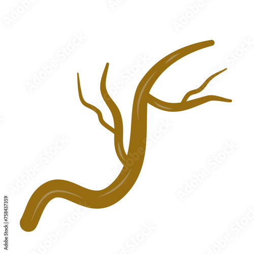 Brown dry tree branches vector
