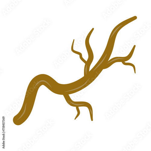 Brown dry tree branches vector © Hashslingingslasher