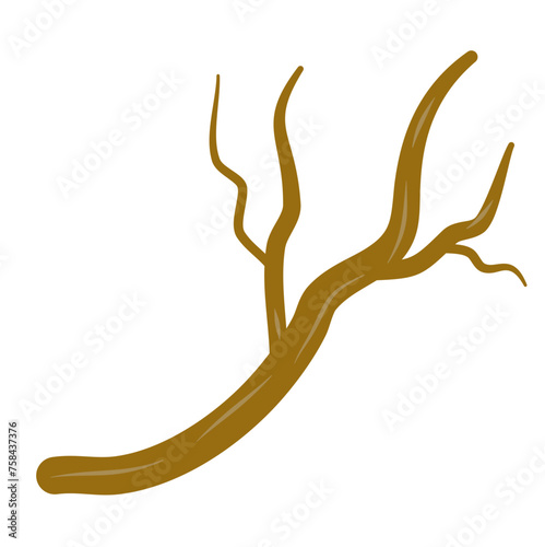 Brown dry tree branches vector