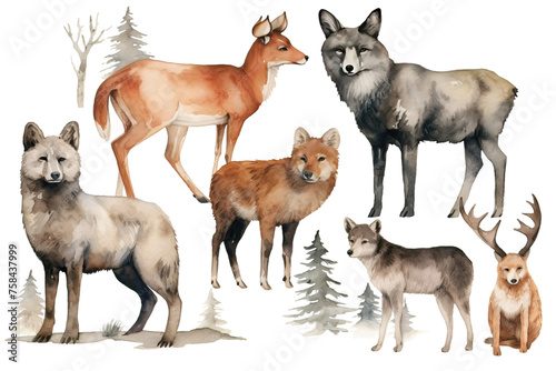 deer bear fox illustration hand painted animals team forest wildlife background hare wild watercolor friends style white wolf realistic isolated forest