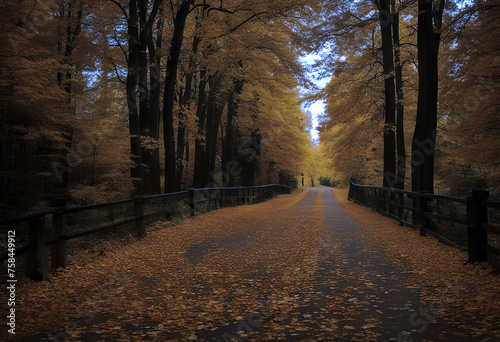 The road covered with autumn leaves stock photo