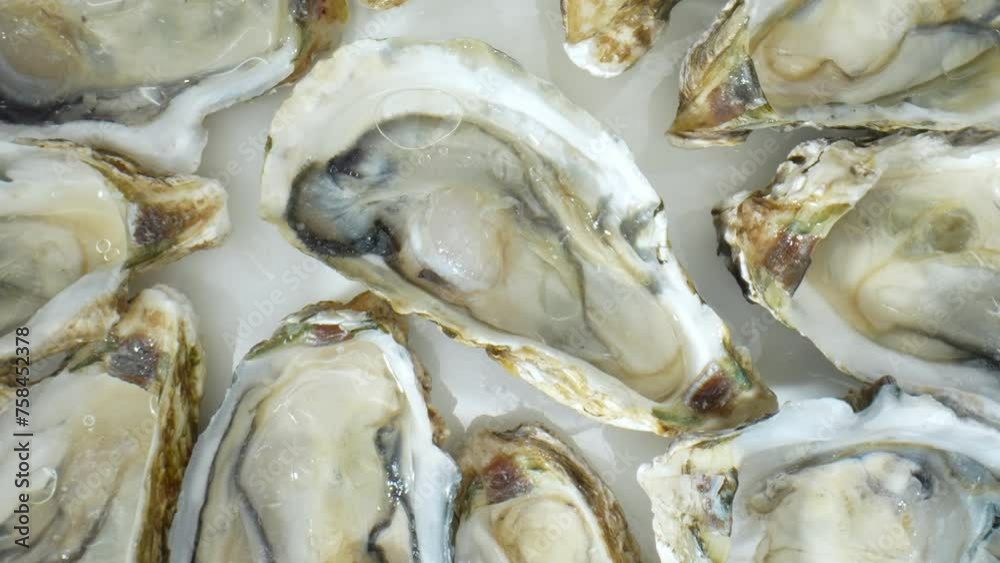 Oysters boast rich cultural history, tied to indulgence and celebration. Cherished for centuries, from ancient civilizations to modern enthusiasts, symbolizing refinement and culinary sophistication.