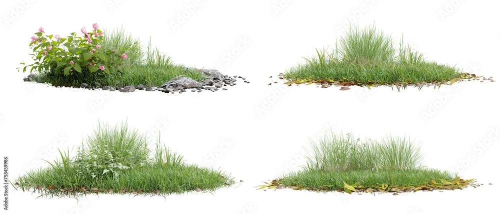Fototapeta premium Collection green grass on transparent background 3d rendering png