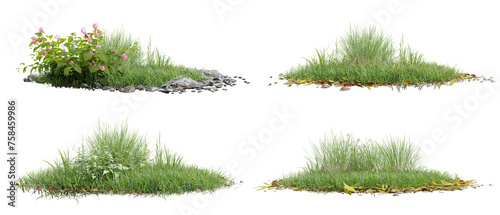 Collection green grass on transparent background 3d rendering png