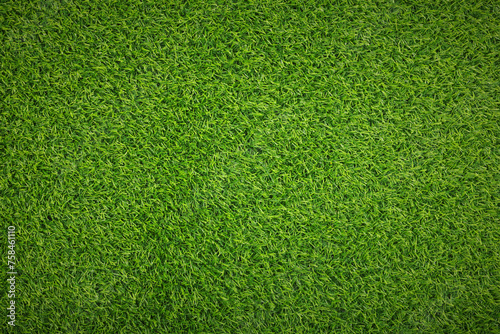 Fresh green grass as background outdoors, top view