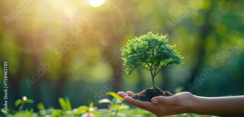 hand holding tree on green nature with sunshine background. evironment eco earth day concept
