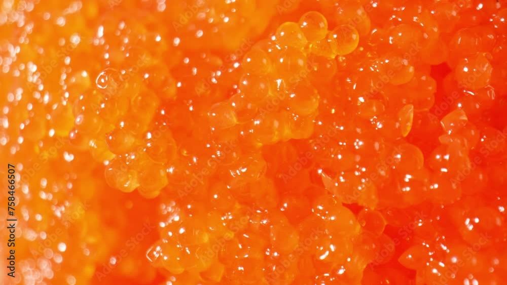 Tobiko is prized not only for its aesthetic appeal but also for its unique flavor profile and nutritional benefits, making it a beloved ingredient in Japanese cuisine and beyond. Tobiko background.
Tobiko is prized not only for its aesthetic appeal but also for its unique flavor profile and nutritional benefits, making it a beloved ingredient in Japanese cuisine and beyond. Tobiko background.