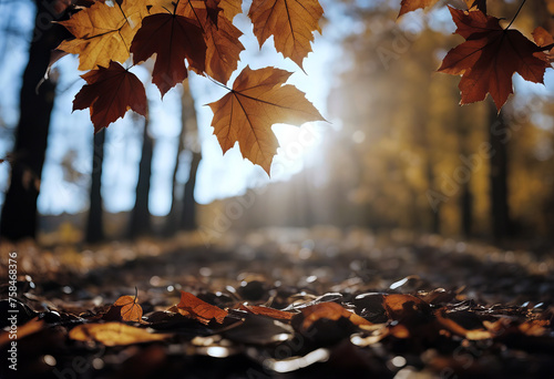 Flying Autumn Leaves stock photoAutumn Falling Backgrounds Wind Nature photo