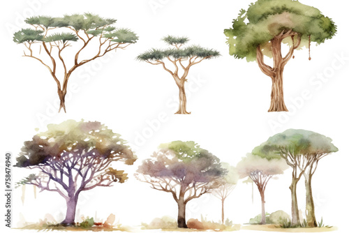 Obraz na płótnie card hand trees set illustration logo invintation trees watercolor southern africa wedding party greeting banner frame drawn savannah card border w salonie