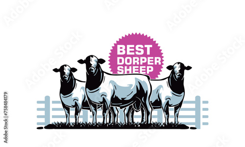 big great dorper sheep logo, SILHOUETTE OF STANDING EWE IN FARM, VECTOR ILLUSRATIONS