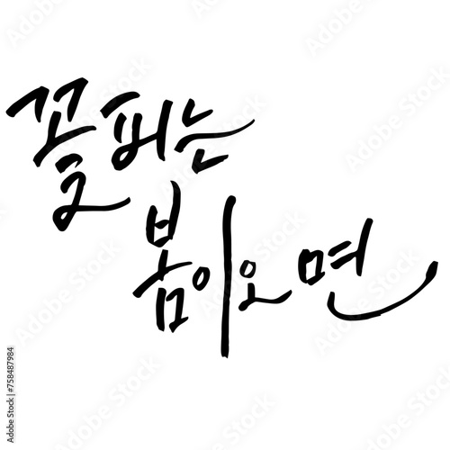 꽃피는봄이오면 캘리그라피 벚꽃 계절 축제 봄 DESIGNELEMENT CALLIGRAPHY TYPOGRAPHY