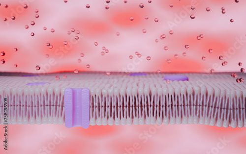 Simulated image of cell membrane, a component of cell wall proteins. Glycoprotein and Glycolipid cholesterol, Peripheral Protein and Lipid Bilayer. 3D Rendering. photo