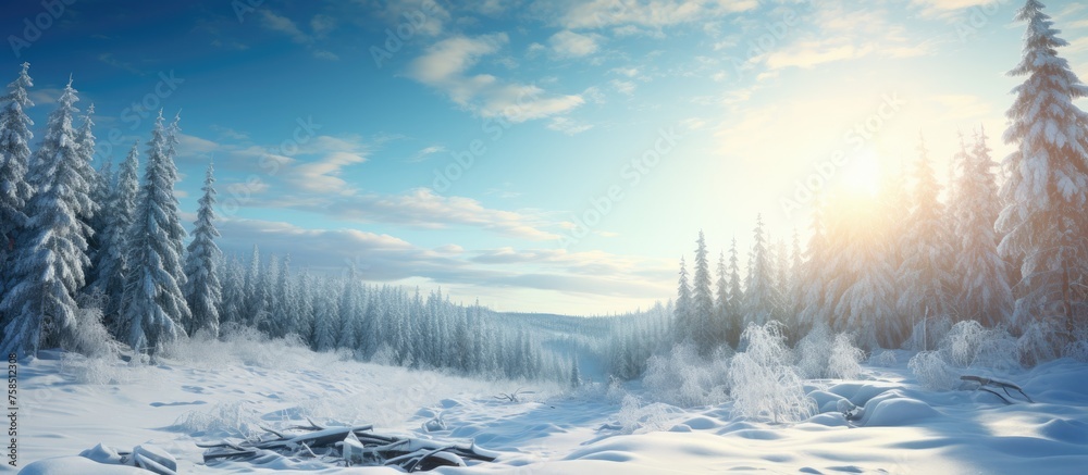 A picturesque snowy forest with trees blanketed in snow, the sun shining through the clouds creating a magical atmosphere in the natural landscape