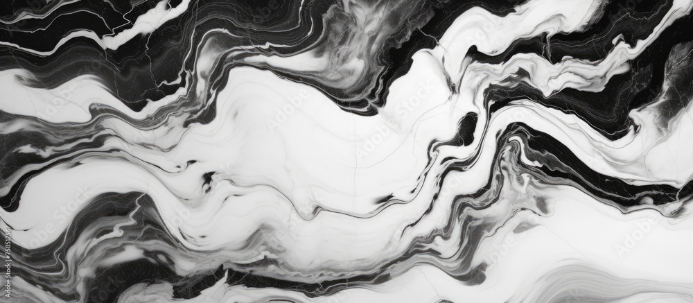 The monochrome painting showcases a beautiful black and white marble texture, resembling a jawdropping gesture captured in liquid form. A stunning example of visual art The monochrome painting showcases a beautiful black and white marble texture, resembling a jawdropping gesture captured in liquid form. A stunning example of visual art
