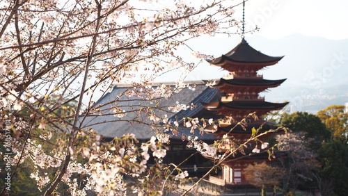 宮島の五重塔