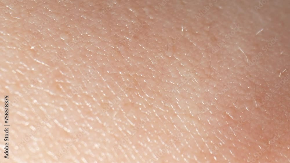Macro video explores human skin intricacies, revealing mesmerizing complexity at microscopic level through intimate close-up shots showcasing variations, patterns, imperfections. Skin background. 4K.
Macro video explores human skin intricacies, revealing mesmerizing complexity at microscopic level through intimate close-up shots showcasing variations, patterns, imperfections. Skin background. 4K.